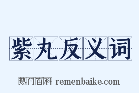 紫丸反义词是什么意思的图片